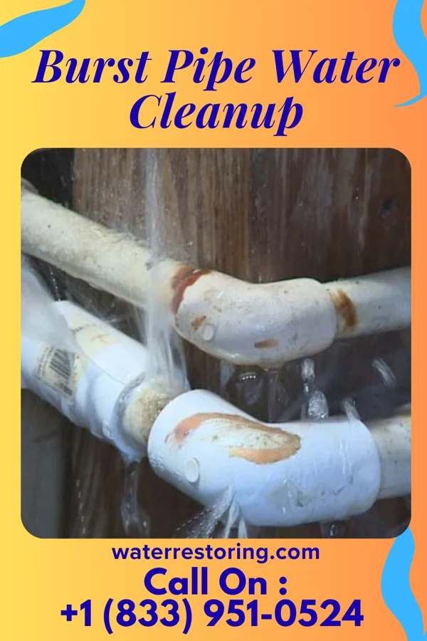Burst Pipe Water Cleanup in Mays Lick, KY
