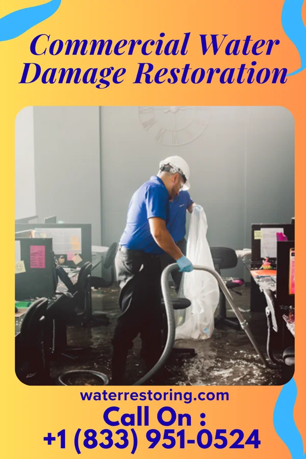 Commercial Water Damage Restoration in Mays Lick, KY