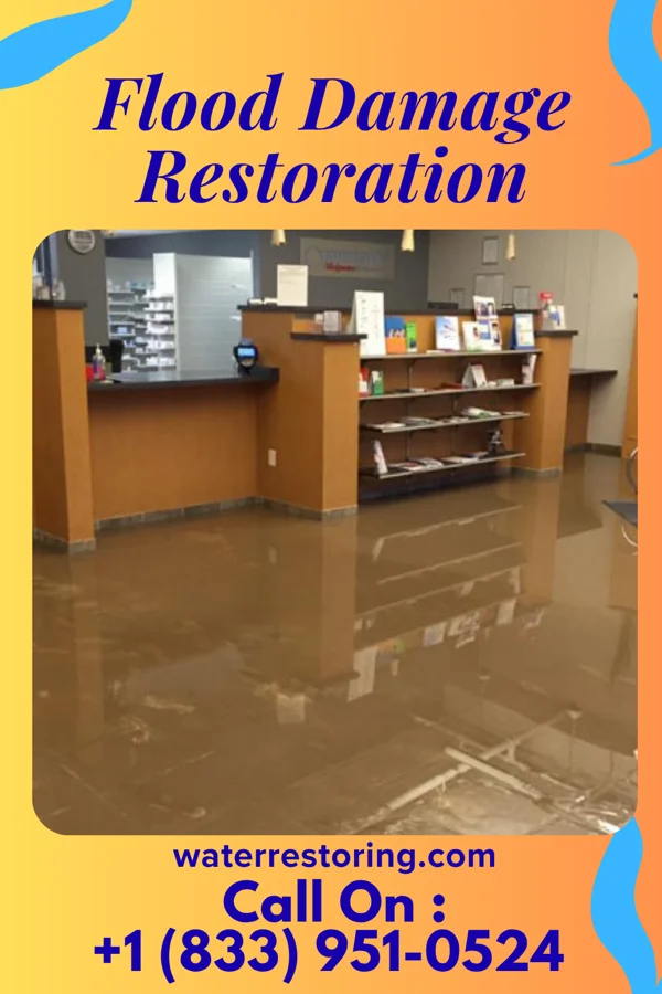 Flood Damage Restoration in Mays Lick, KY