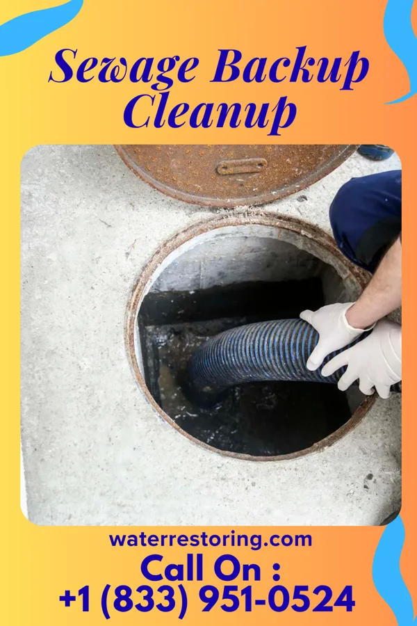Sewage Backup Cleanup in Mays Lick, KY
