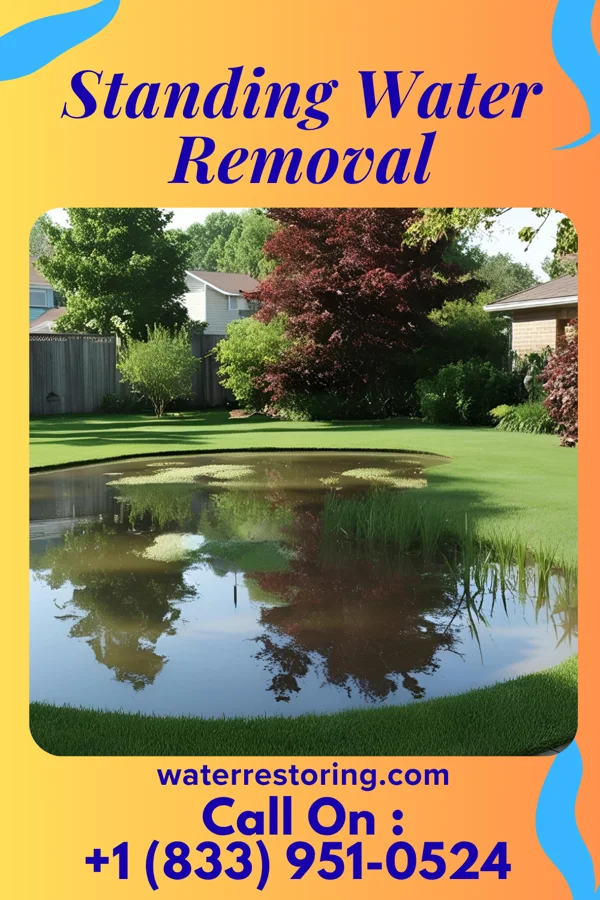 Standing Water Removal in Mays Lick, KY